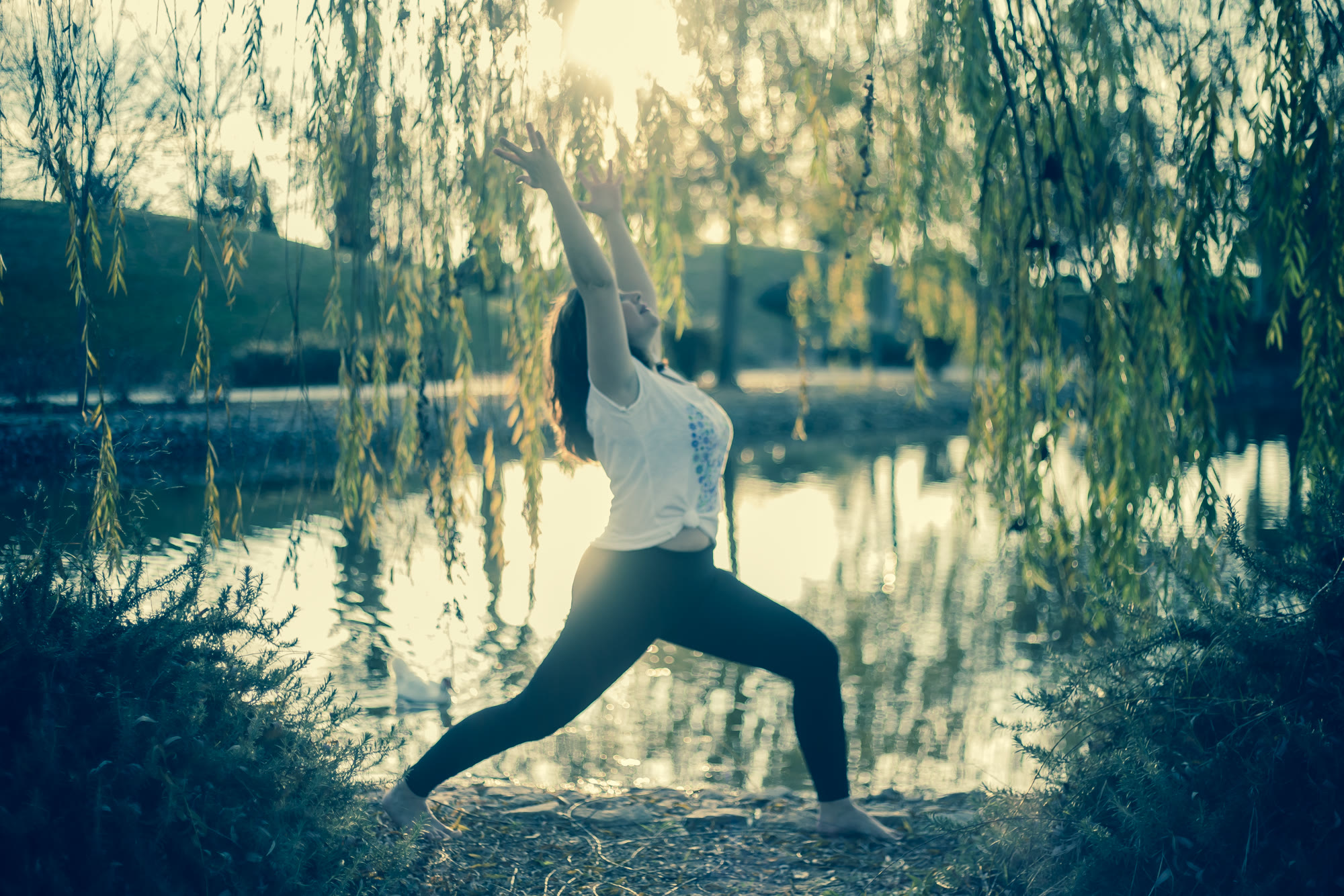 Práctica de yoga junto al lago al atardecer